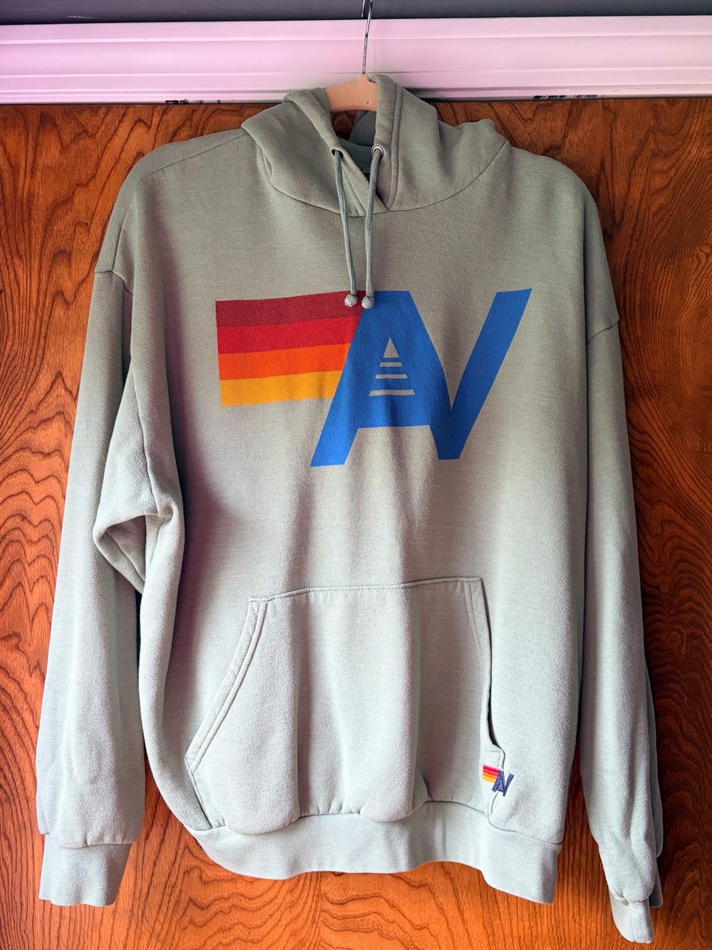 Aviator Nation Green Pullover Sweatshirt Hoodie Size Large EUC Unisex